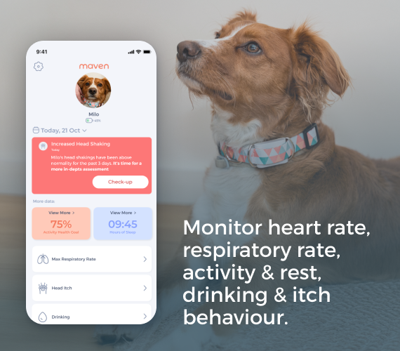 Maven Pet Health Monitor